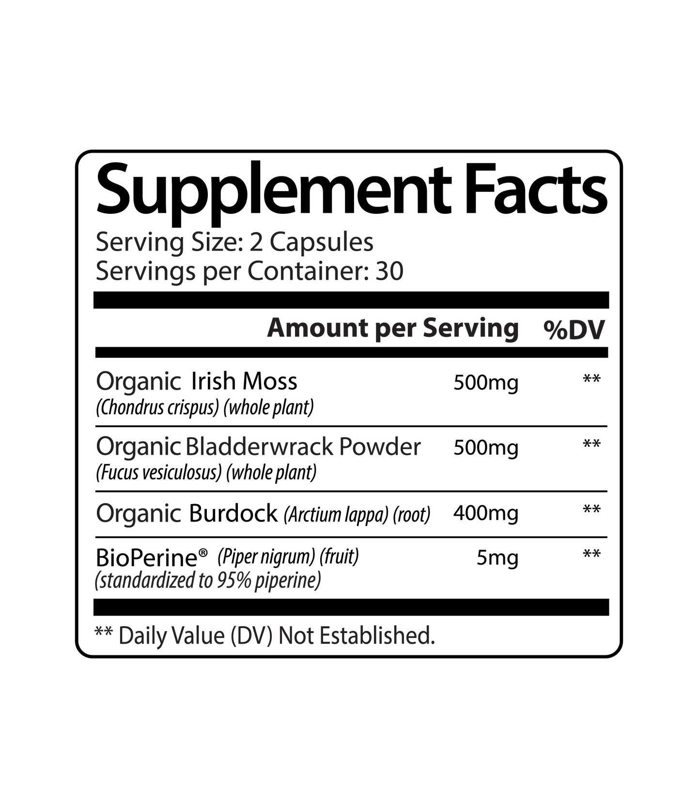 The Modern World Survival Stack