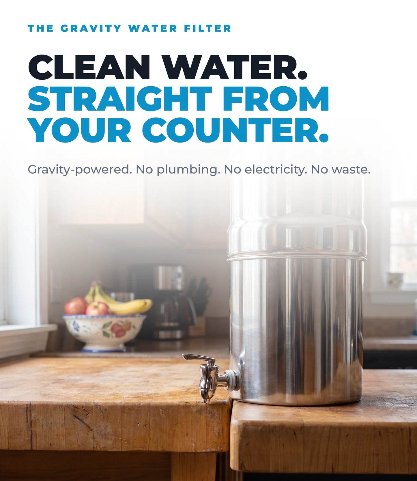 Dual Carbon Platinum Gravity-Fed Water Filter System