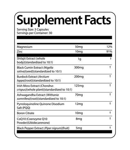 The Modern World Survival Stack