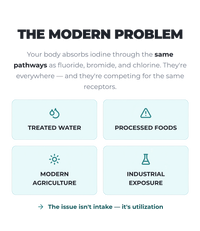 T-3 Trifecta Iodine Tincture (90 Servings)